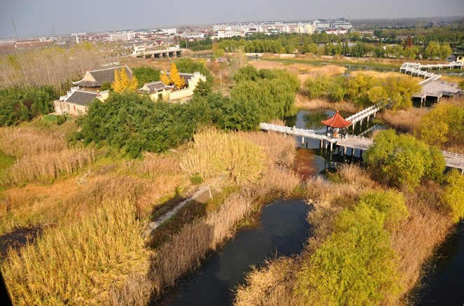 1690801394455077.jpg 2.jpg