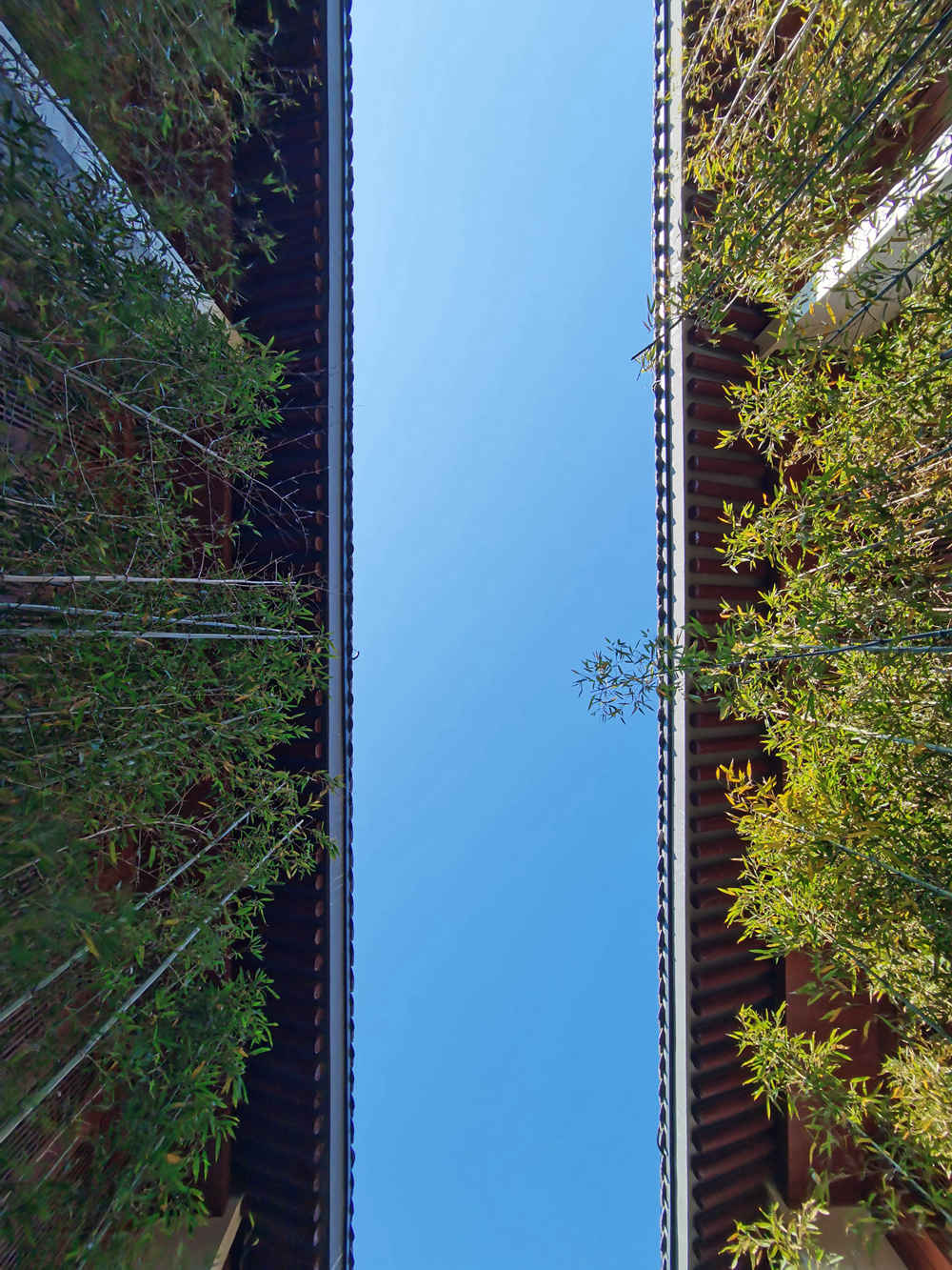 1690873760991347.jpg 1.jpg